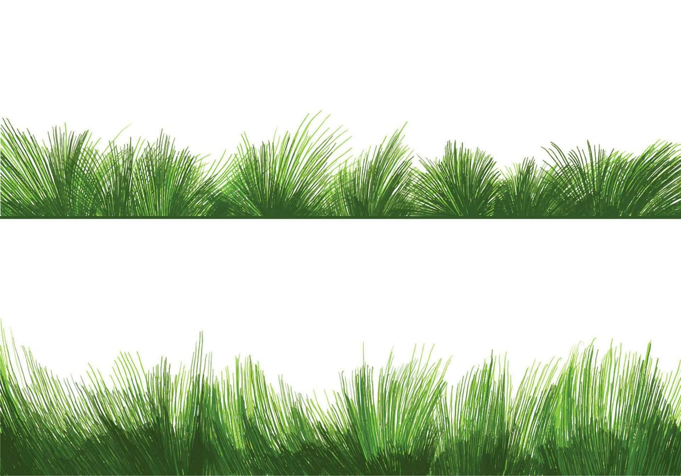 Beautiful green grass Isolated background vector
