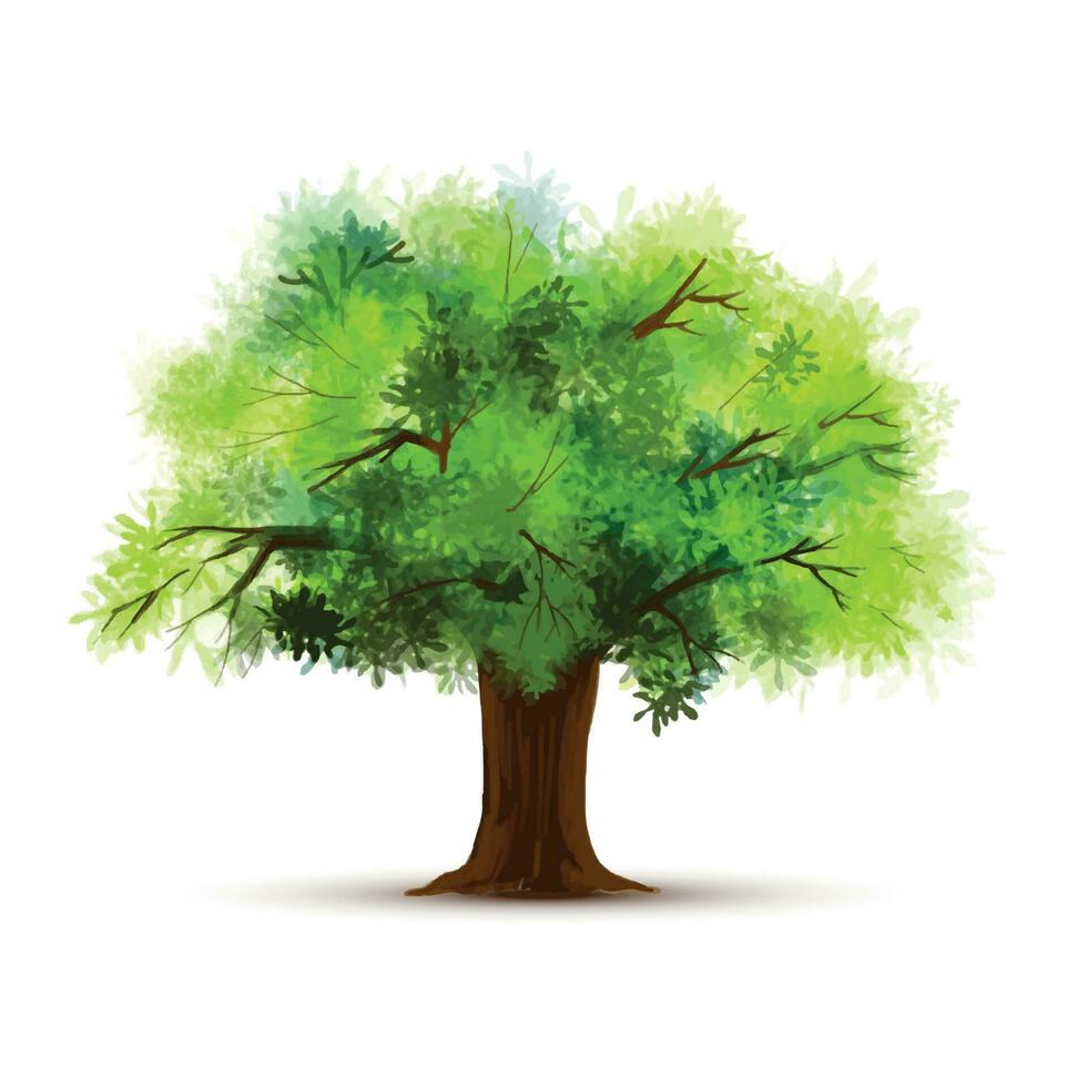 pintura un verde árbol aislado diseño vector