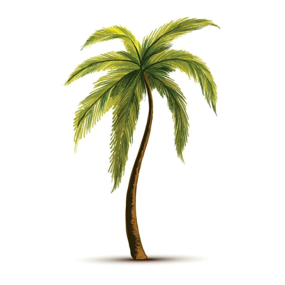 Beautiful green coconut tree leaf design vector