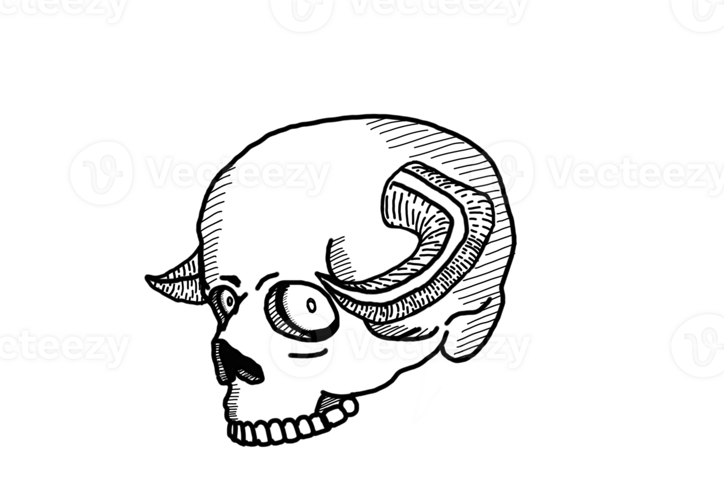 Demon Skull Line Art With Transparent Background png