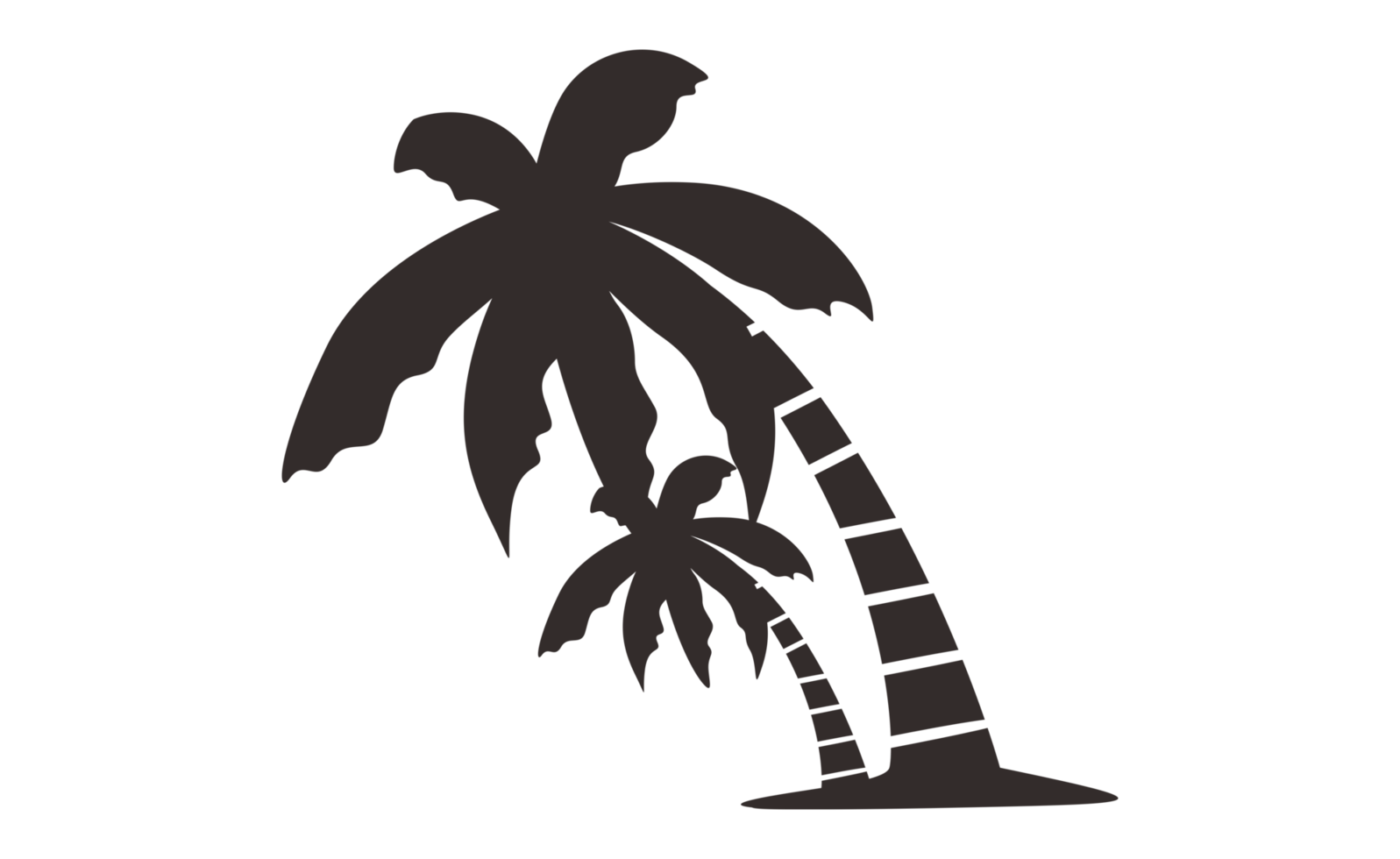 Silhouette of Palm Tree On Transparent Background png