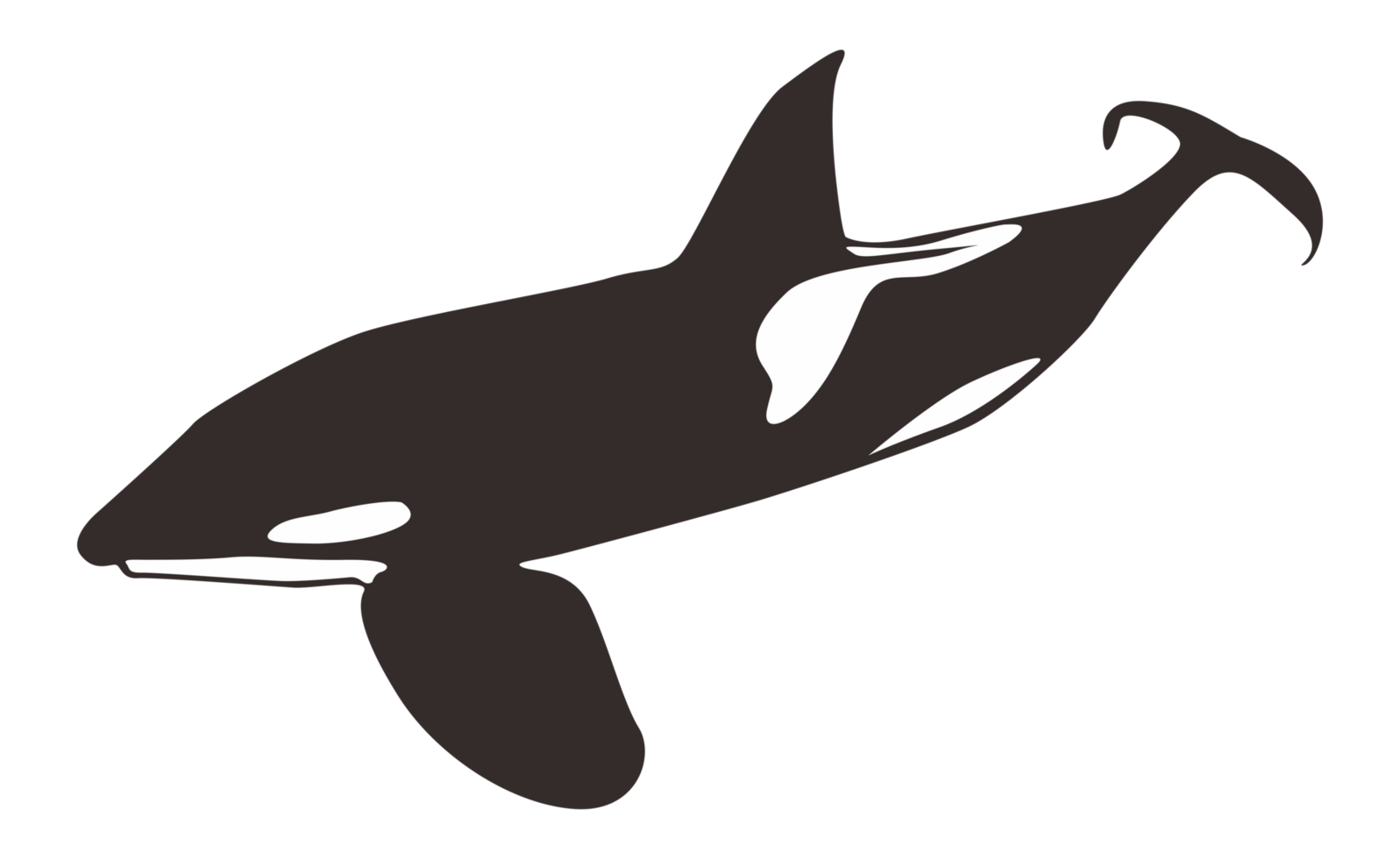 orca ballena en transparente antecedentes png