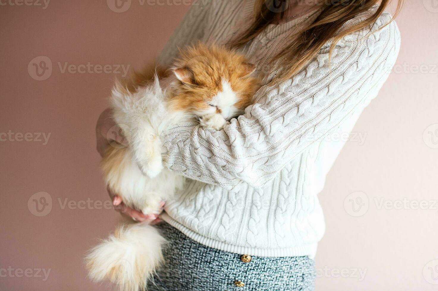 Woman hugging domestic fluffy cat. The cat sleeps in the hands of a man photo