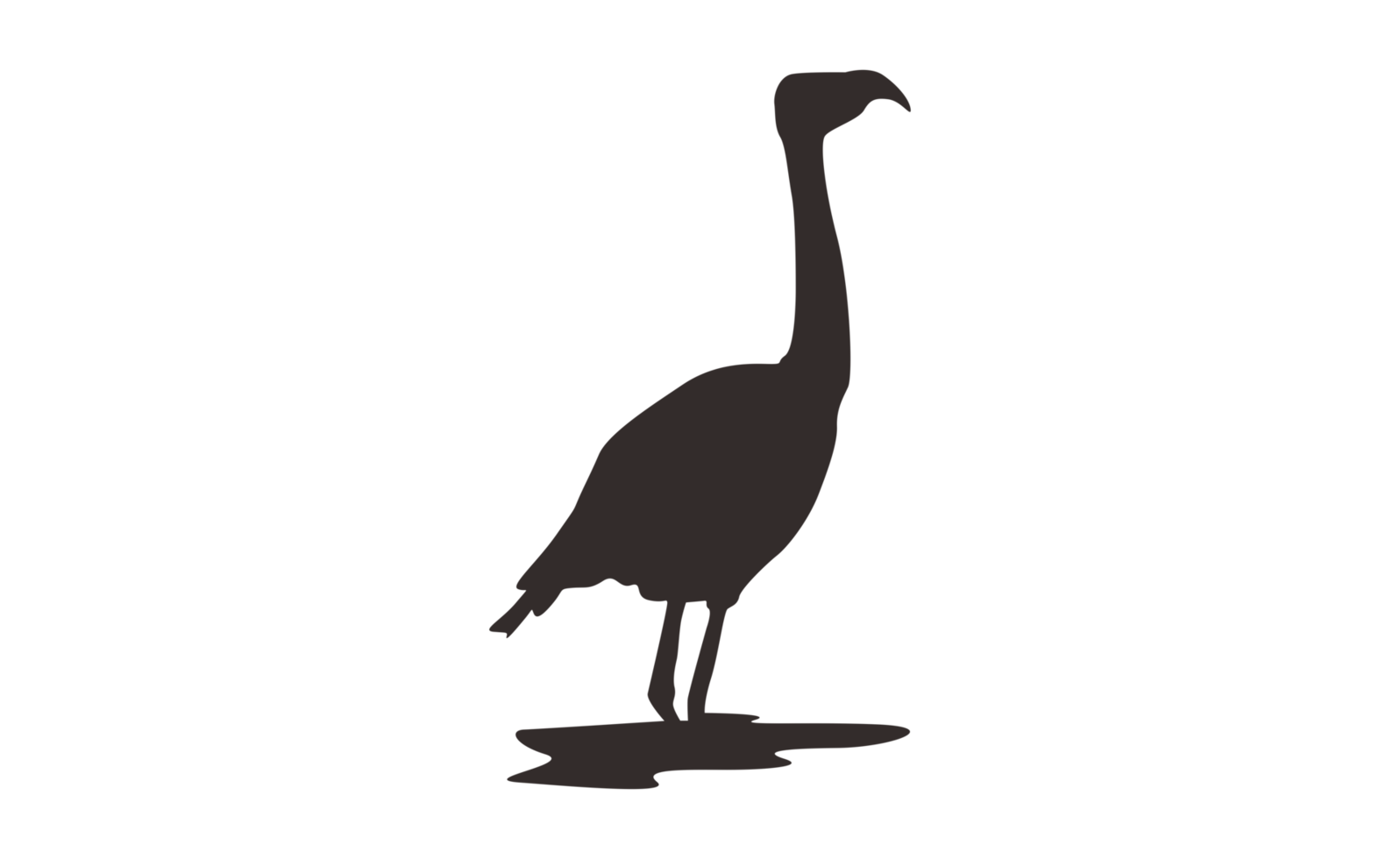 Flamingo Bird Silhouette On Transparent Background png