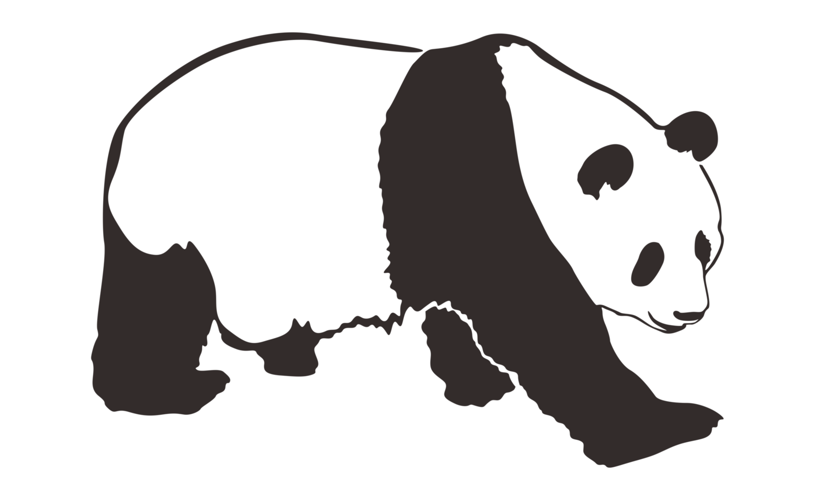 Cute and adorable panda Line Art on a transparent background png