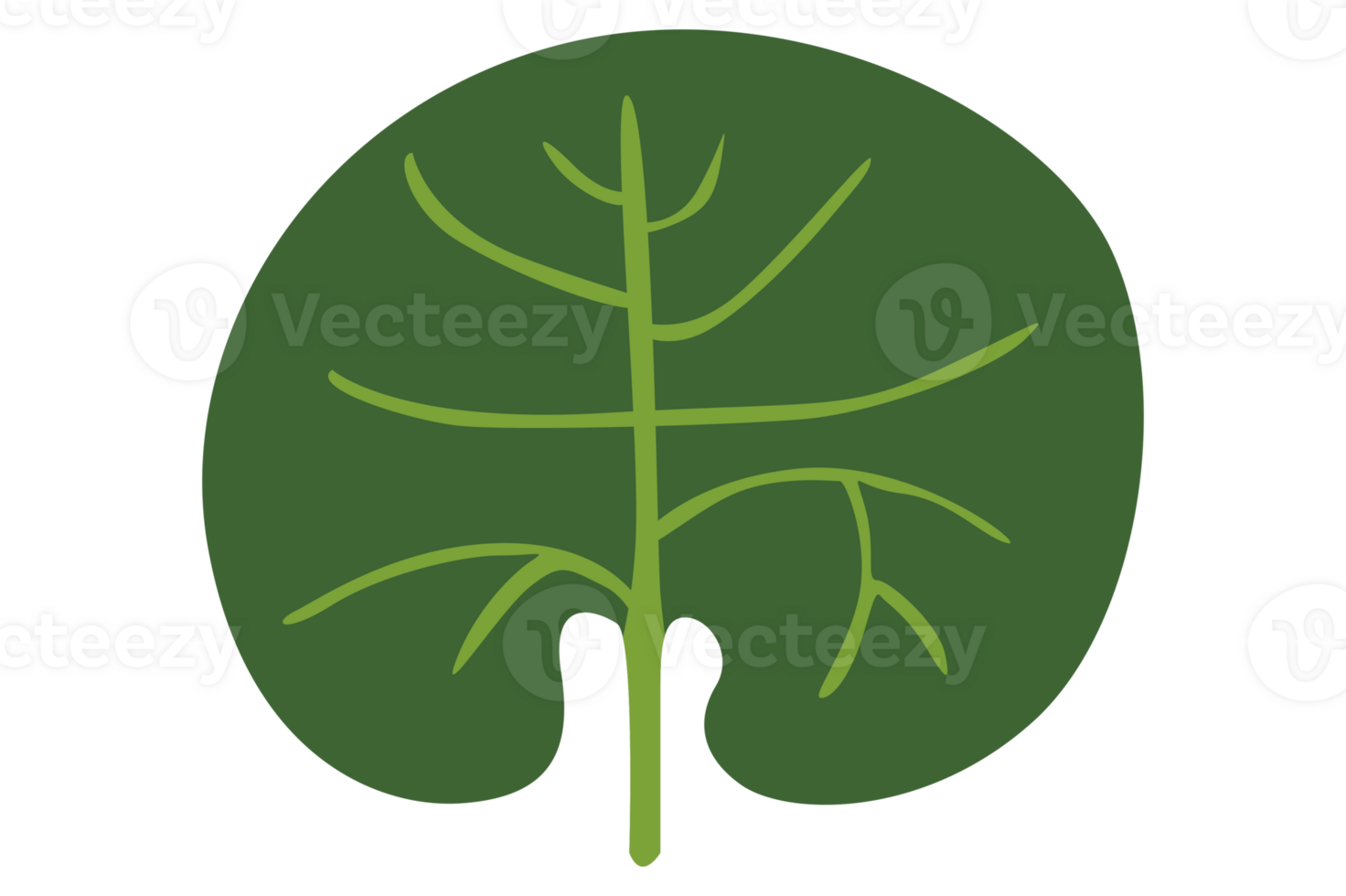 Simple Botany Green Leaf With Transparent Background png