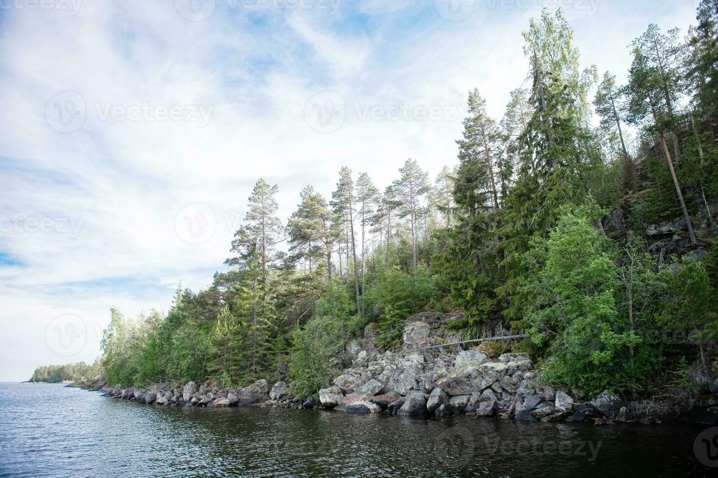 Rocky and stone river bank with fir trees. photo