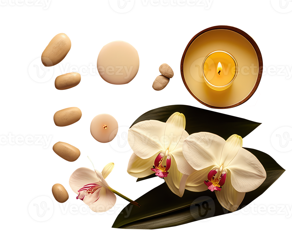 Spa or Natural Treatment Setup of Orchid Flowers, Candle and Stones on Transparent Background. . png