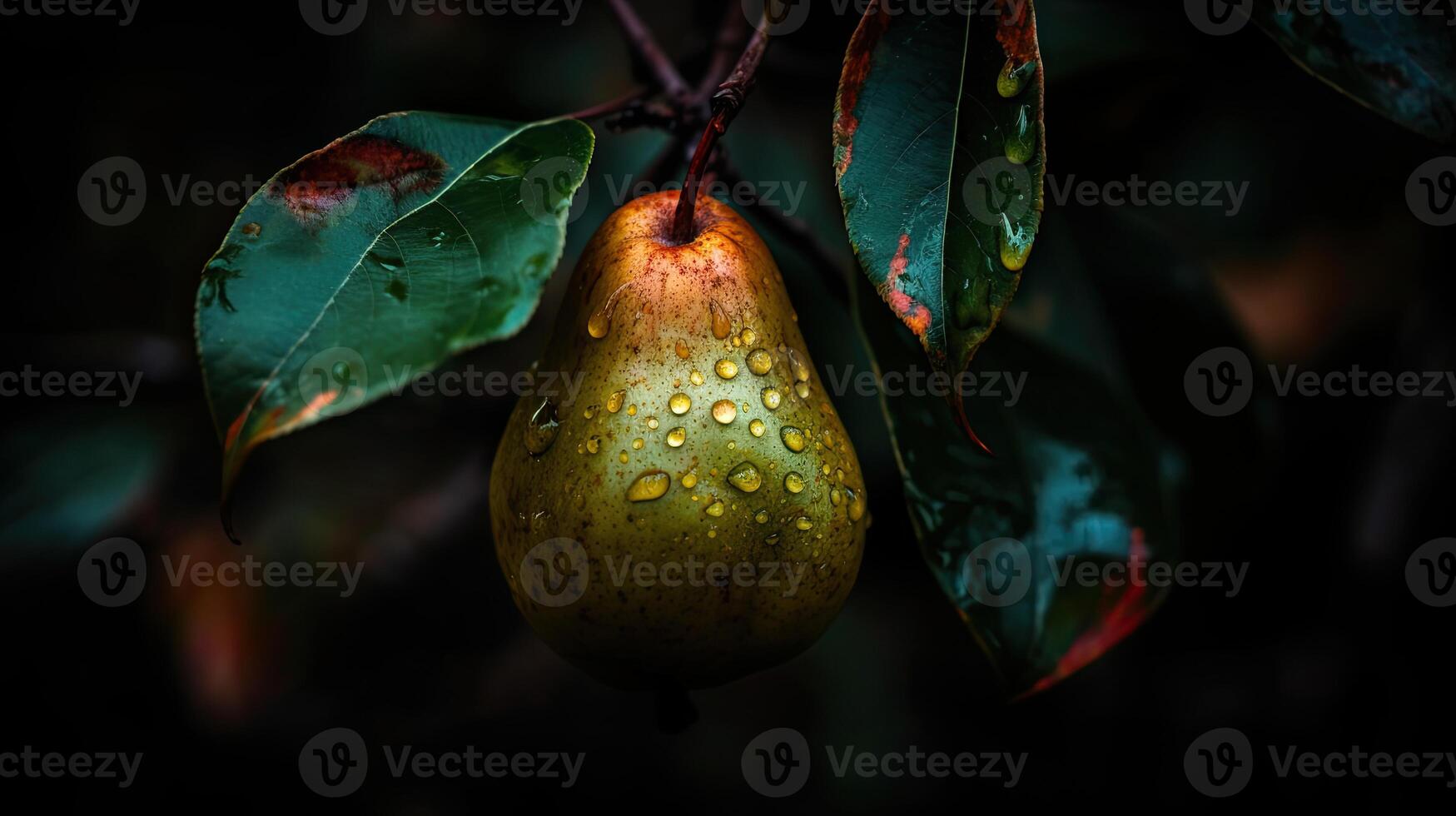 Closeup Shot of Pear Fruit on Tree Branch with Water Droplets, Beautiful Organic Background. Technology. photo