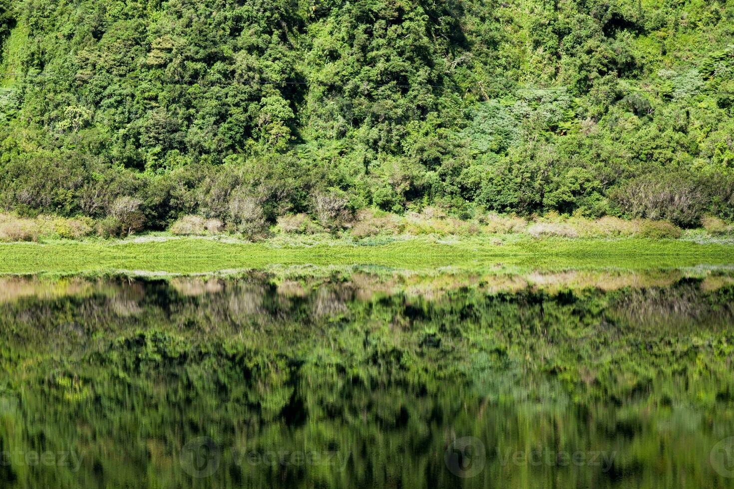 Granja etang en reunión isla foto