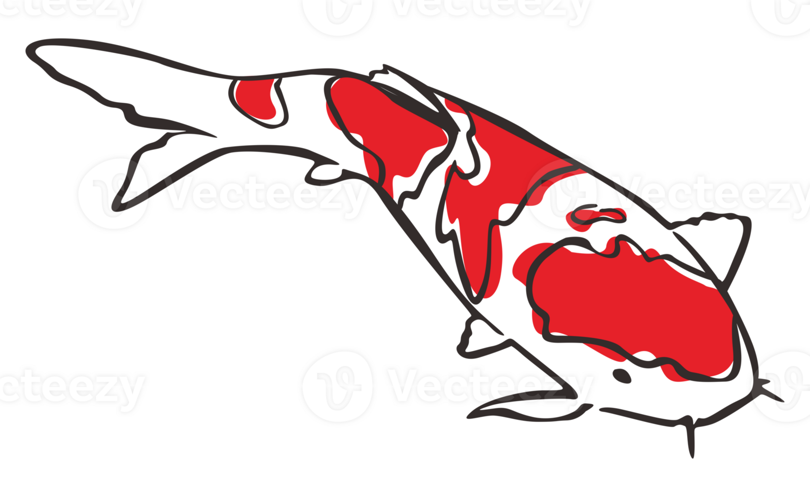 Koi Fish With transparent background png