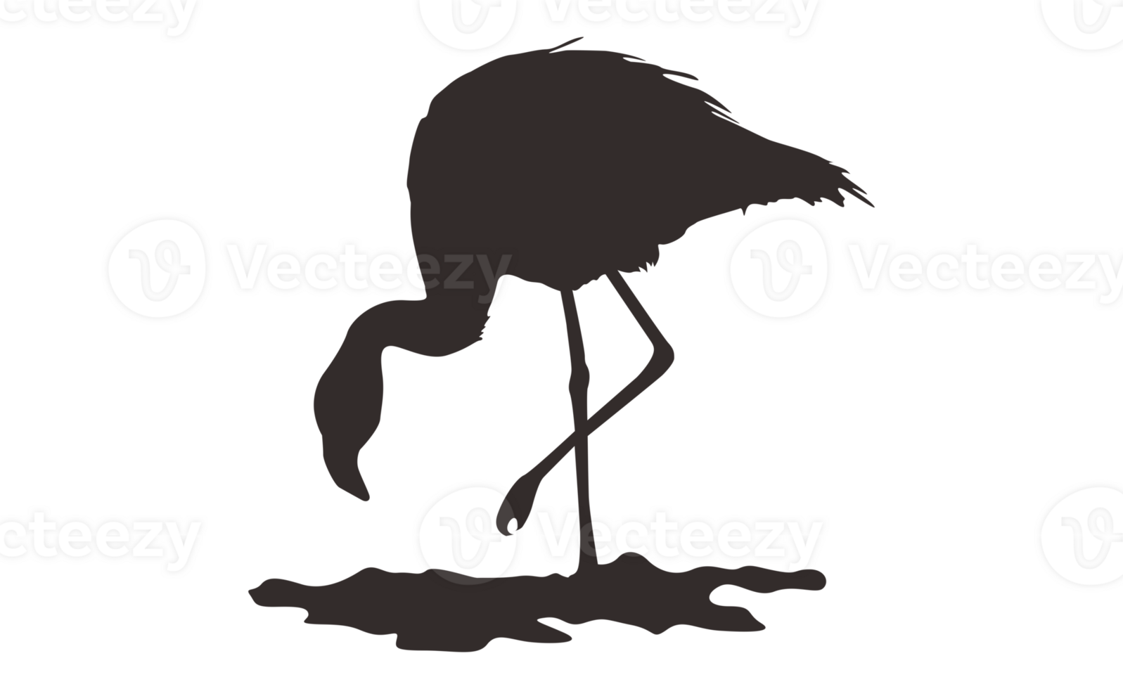 Flamingo Bird Silhouette On Transparent Background png