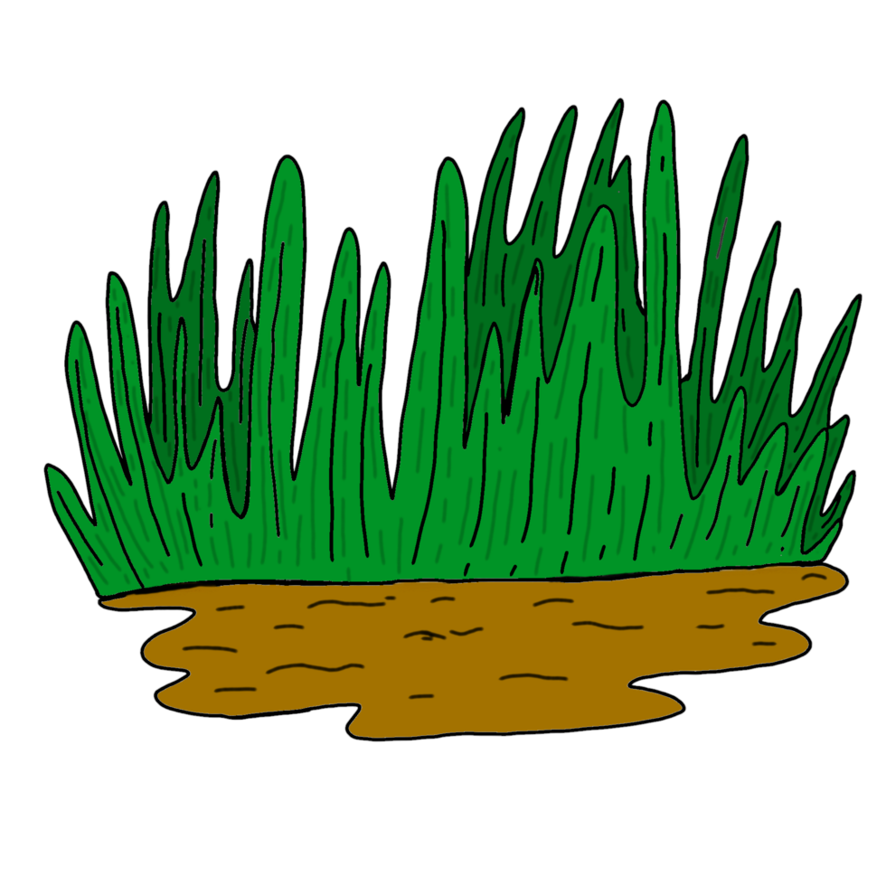 groen gras bovenstaand grond met transparant achtergrond png