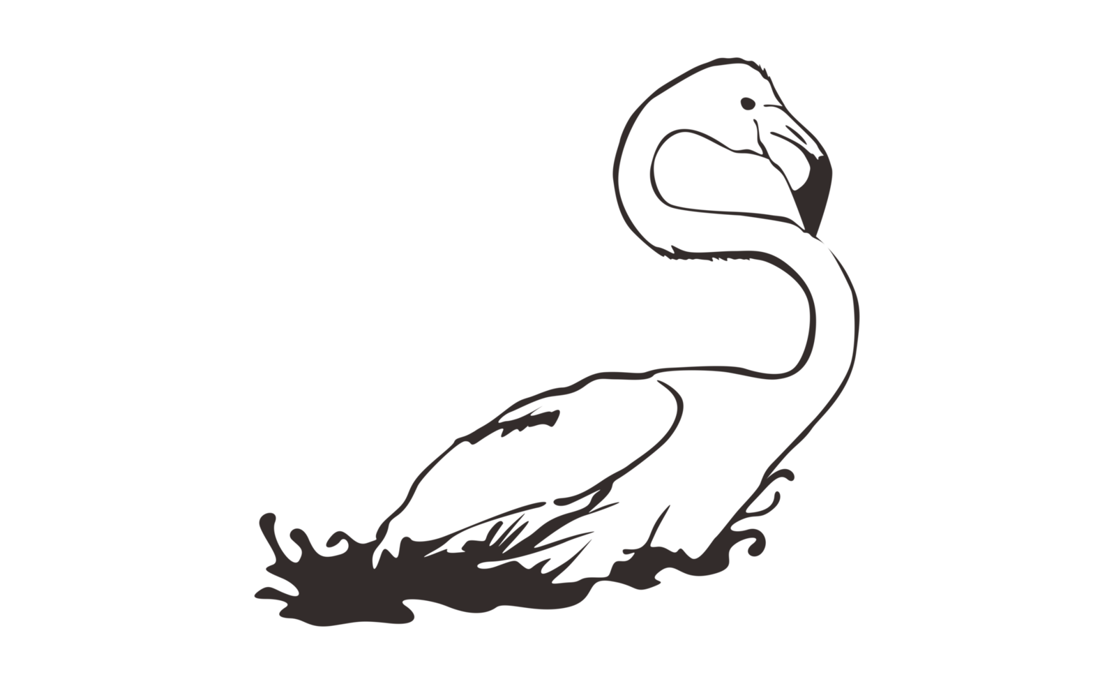 Flamingo Bird Line Art On Transparent Background png