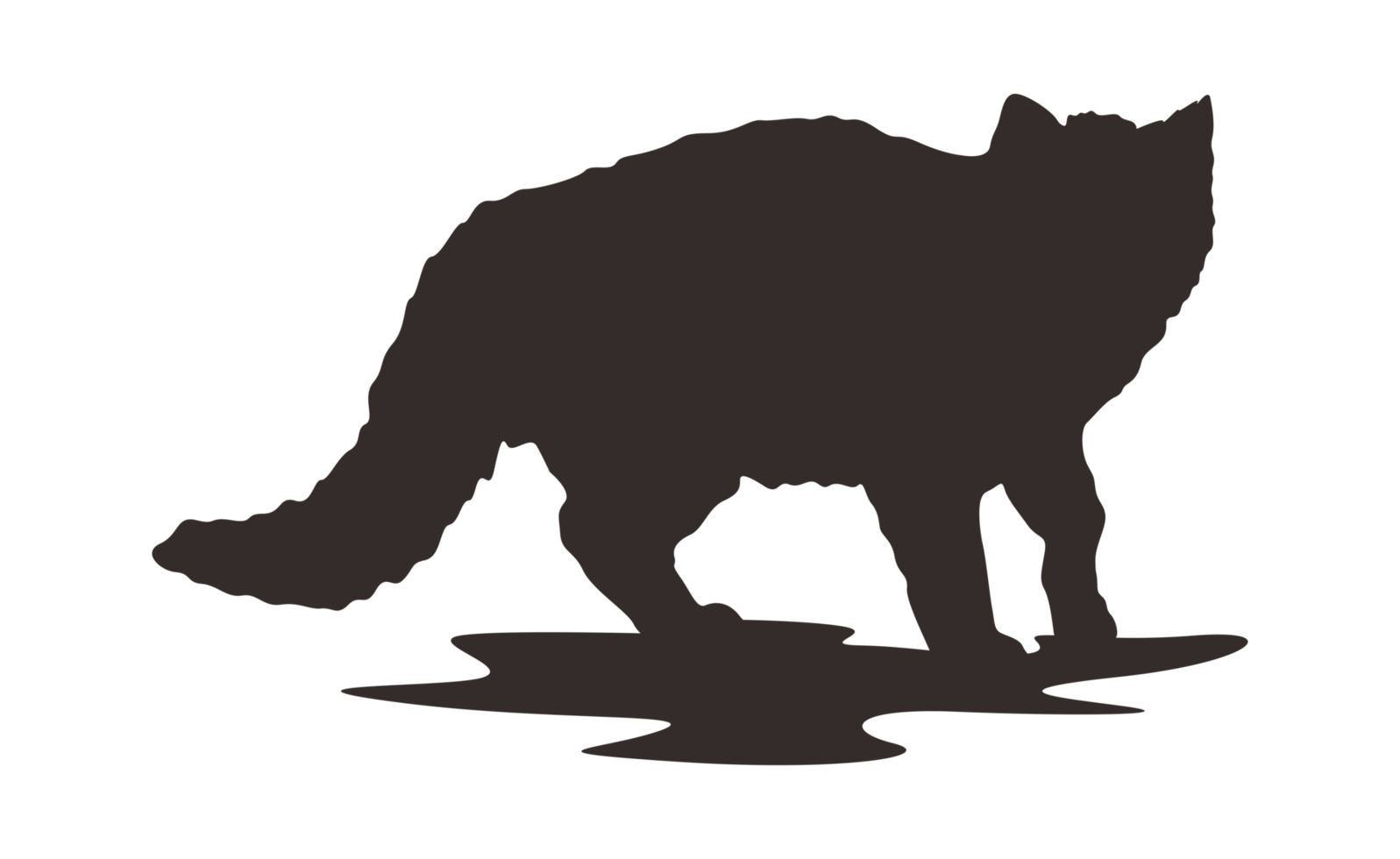 Kitten Silhouette With Transparent Background png