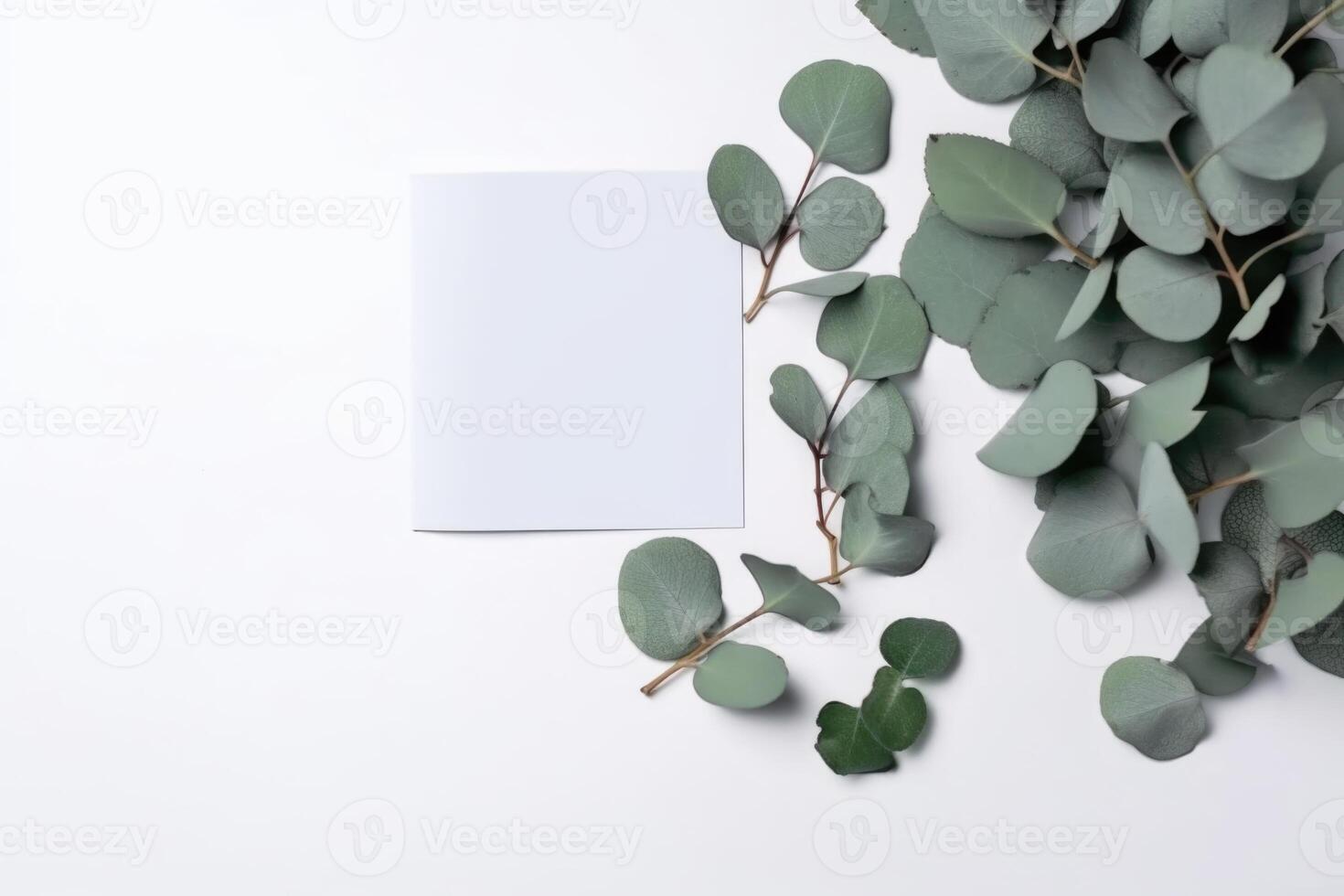 Spring or Summer, Nature Composition Background With Eucalyptus Leaves with Paper Sheet. Illustration. photo