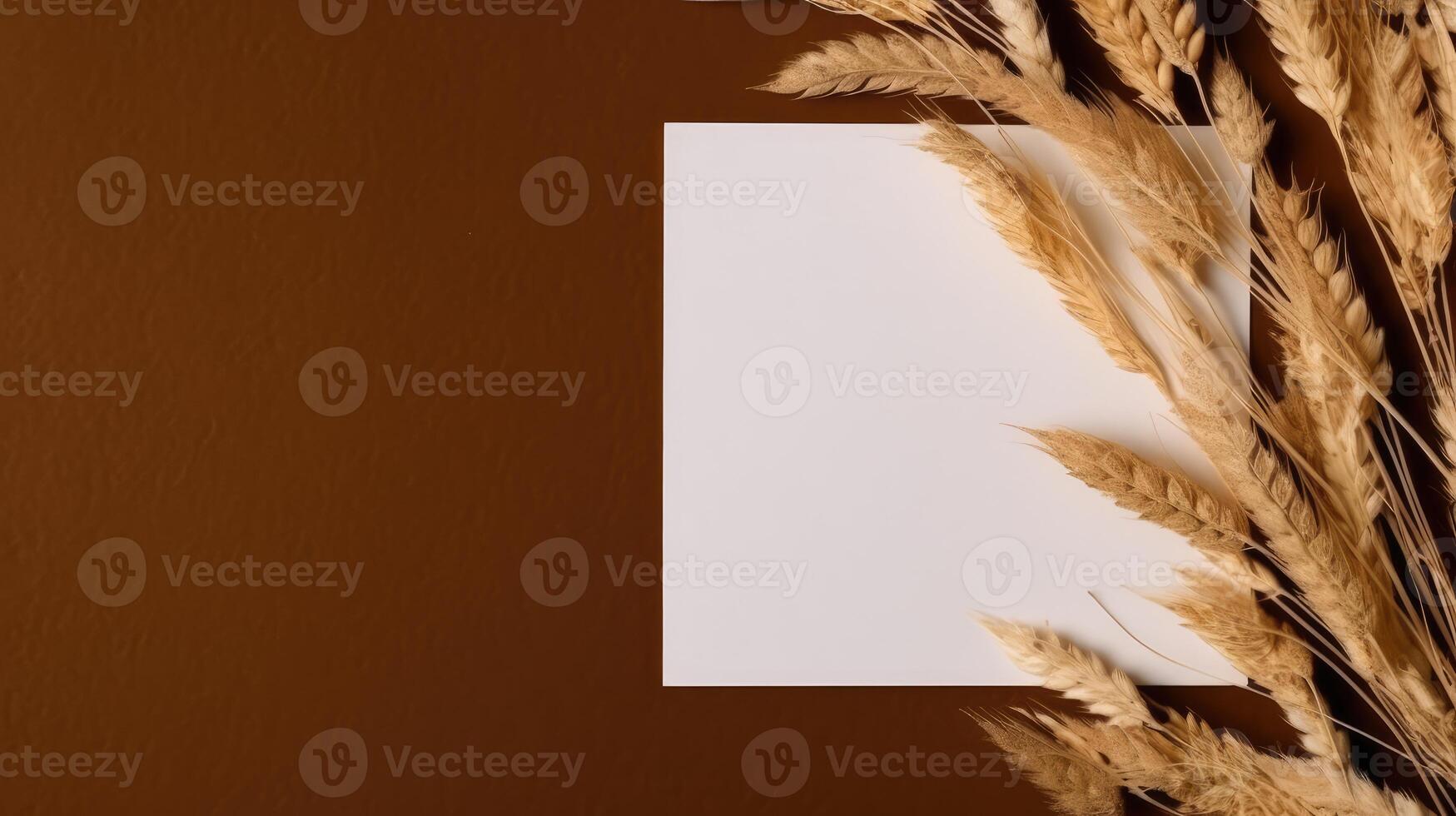 Top View of Blank White Paper with Golden Wheat Branch on Brown Background and Placement. Vintage Delicate Business or Wedding Card Design. . photo