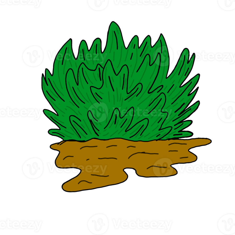 Green Grass Above Ground With Transparent Background png
