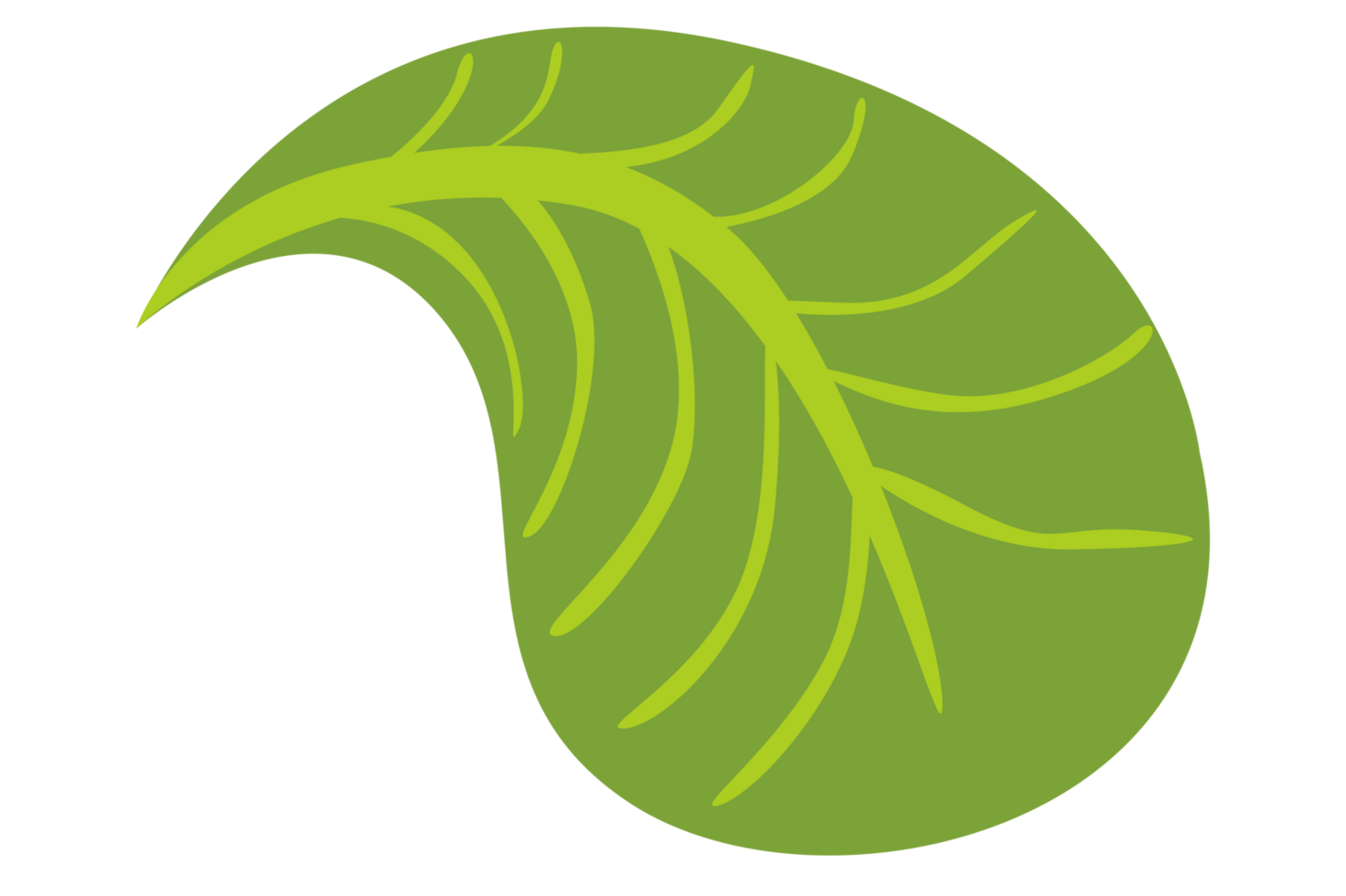 Simple Botany Green Leaf With Transparent Background png