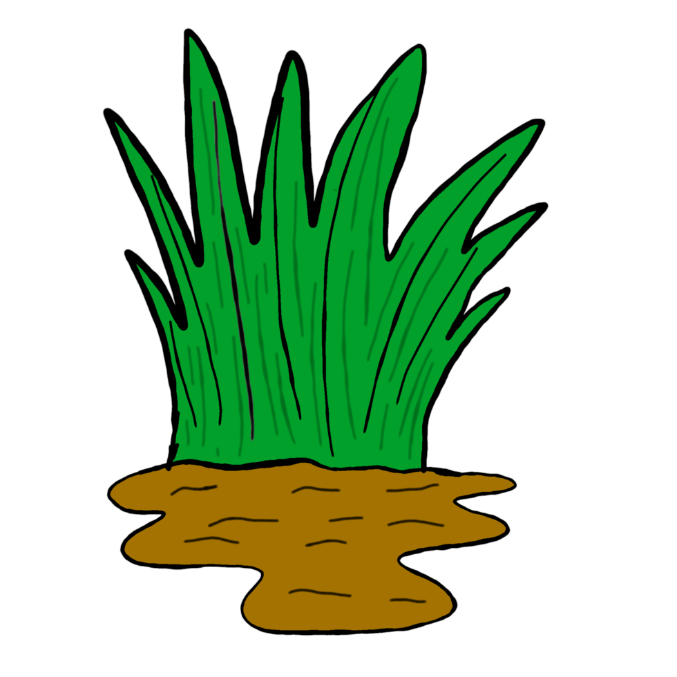 Green Grass Above Ground With Transparent Background png