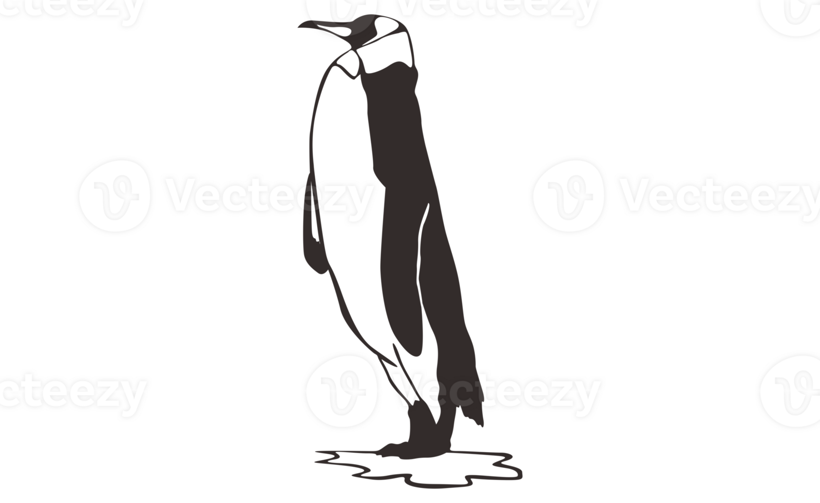 Penguin Line Art on a transparent background png