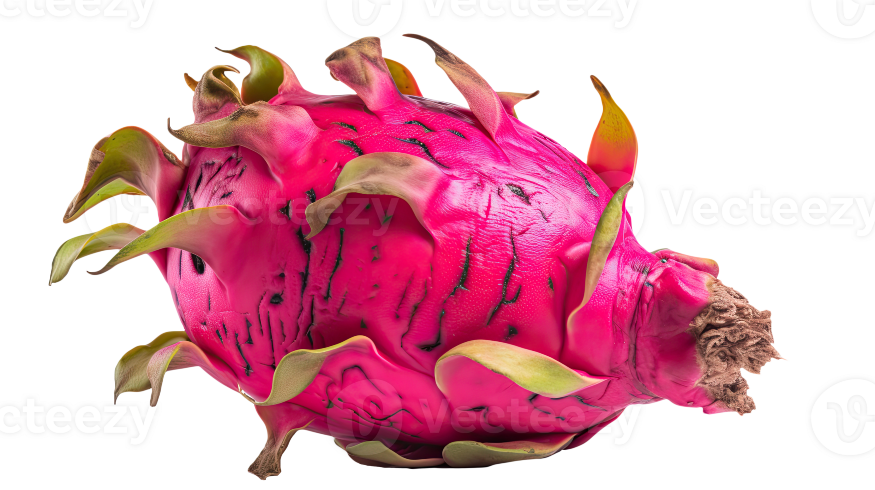 Fresh Dragon Fruit Isolated on Transparent Background. Illustration. png
