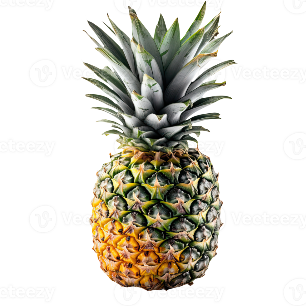 Summer Fruit of Pineapple Isolated on Transparent Background. . png