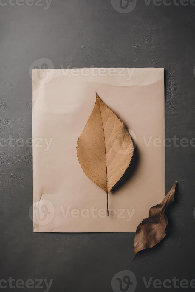 Blank Paper Mockup and Dry Leaves on Dark Background. . photo