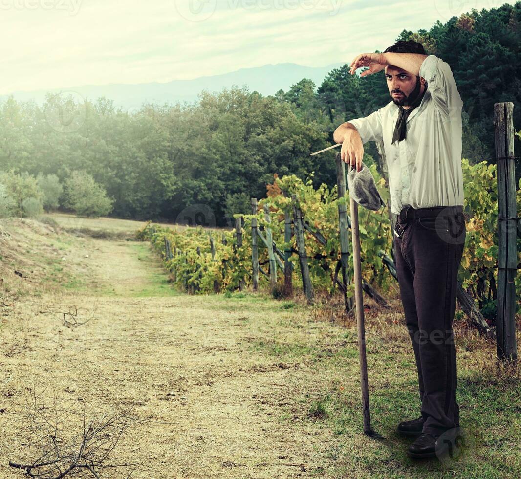 Farmer in the vineyard photo