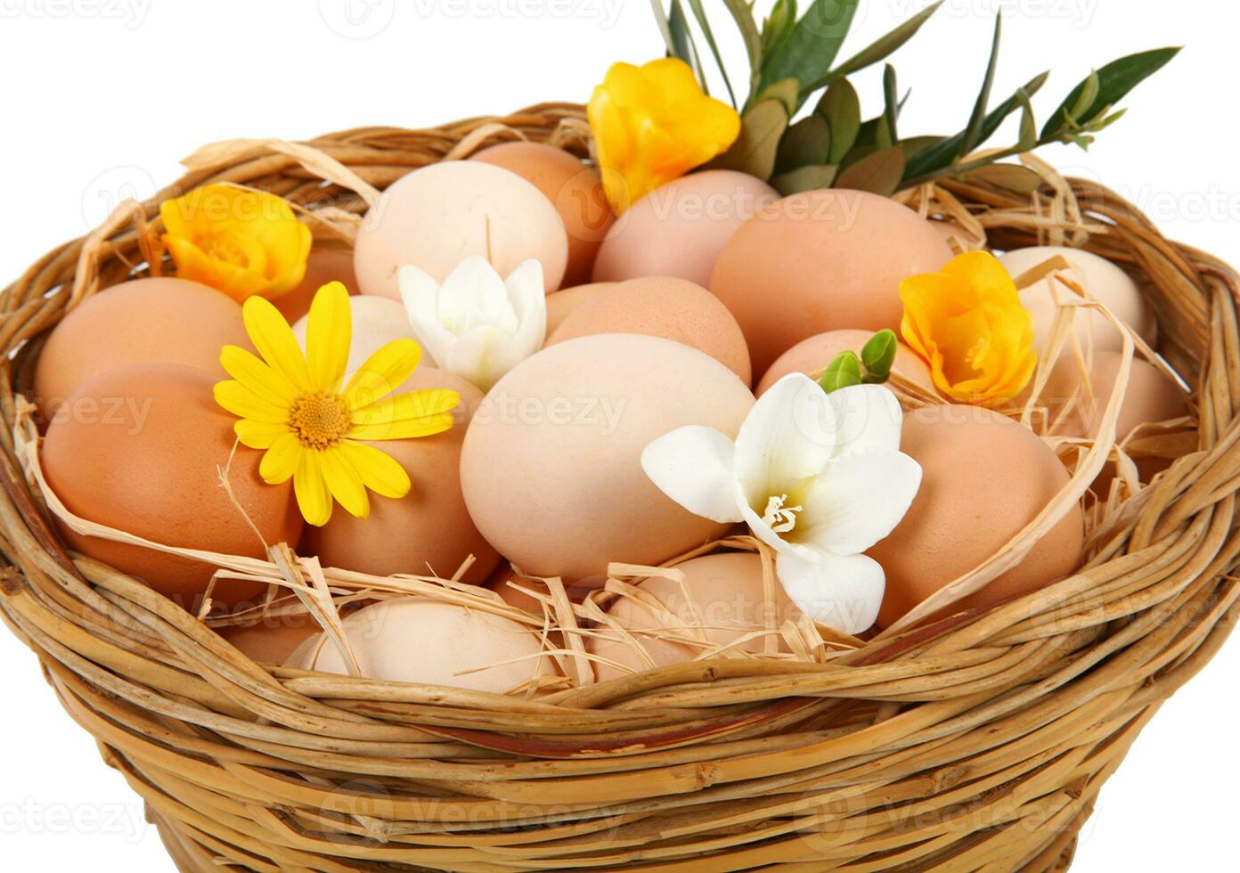 Basket of eggs photo
