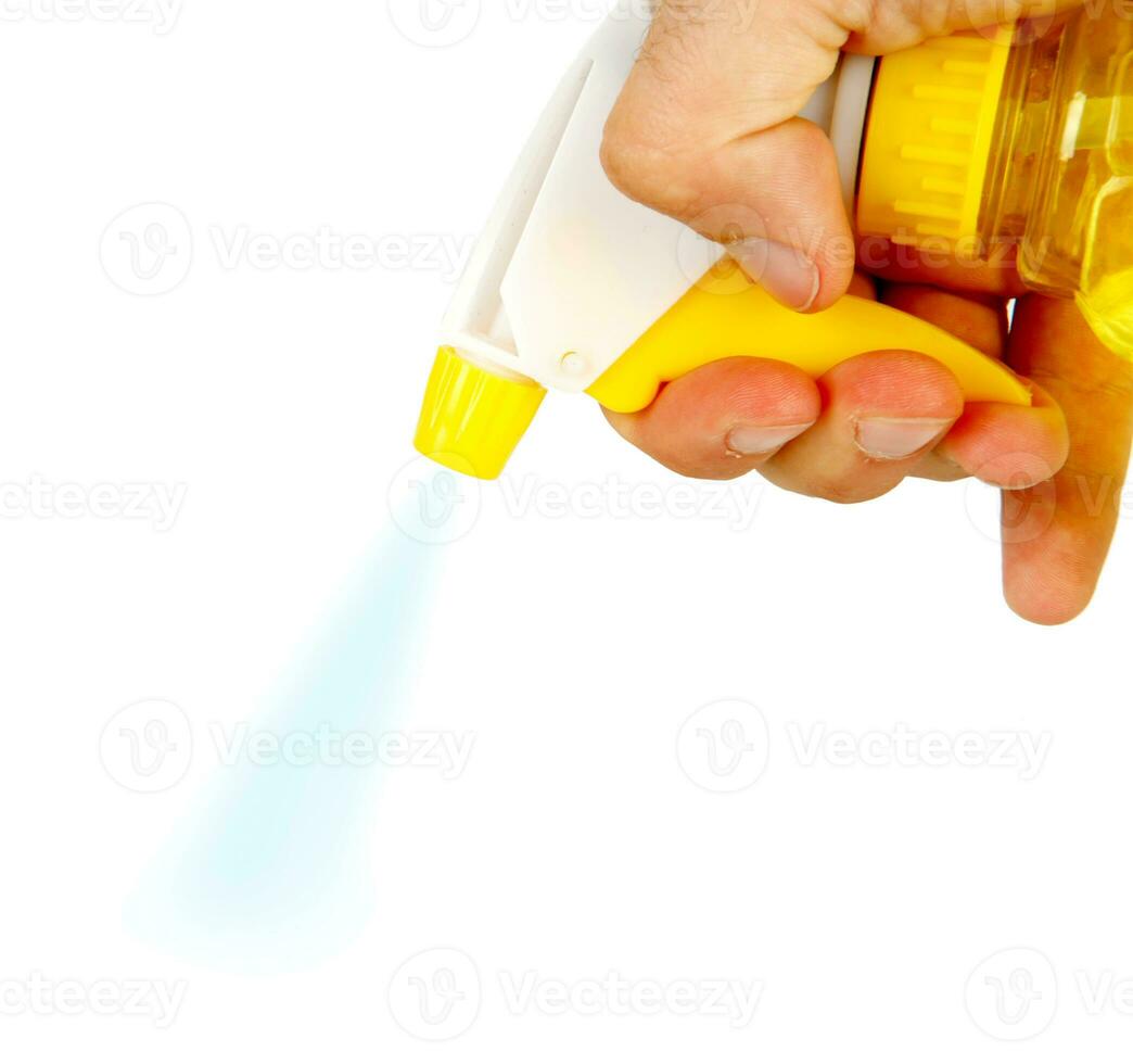 Hand with spray bottle for cleaning photo