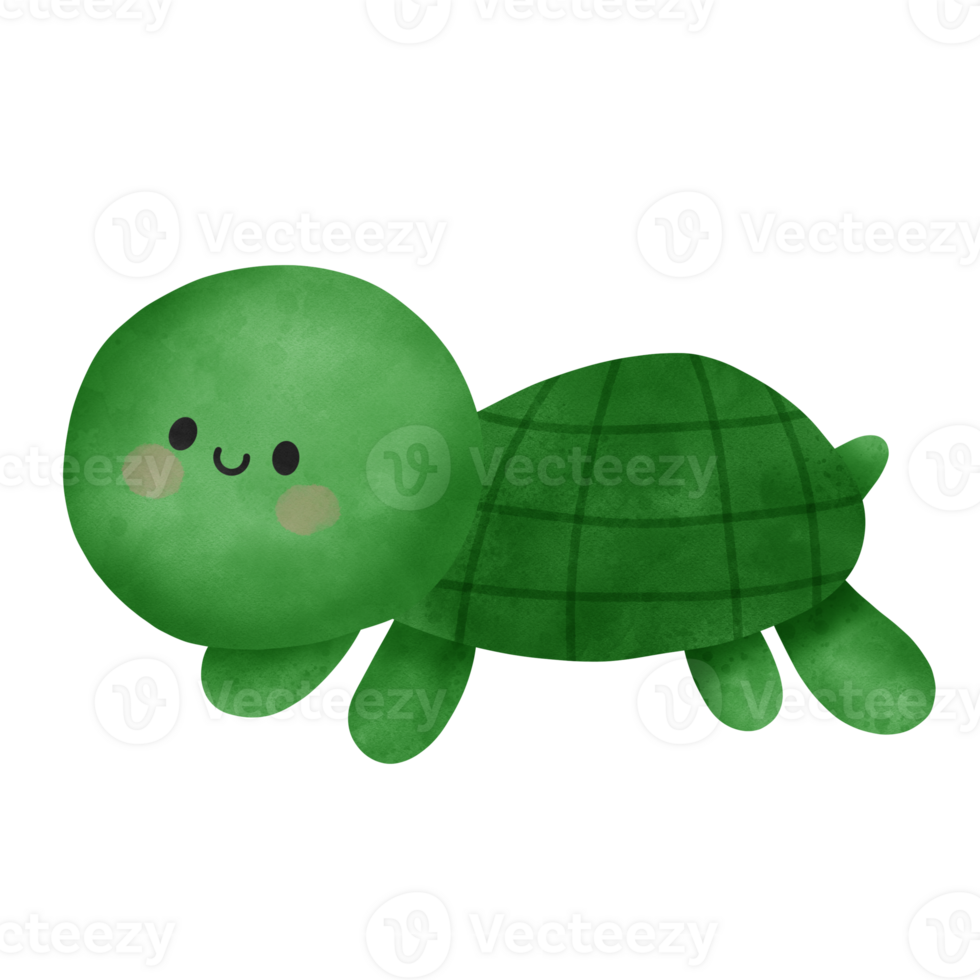 süß Schildkröte unter das Meer Aquarell Illustration png