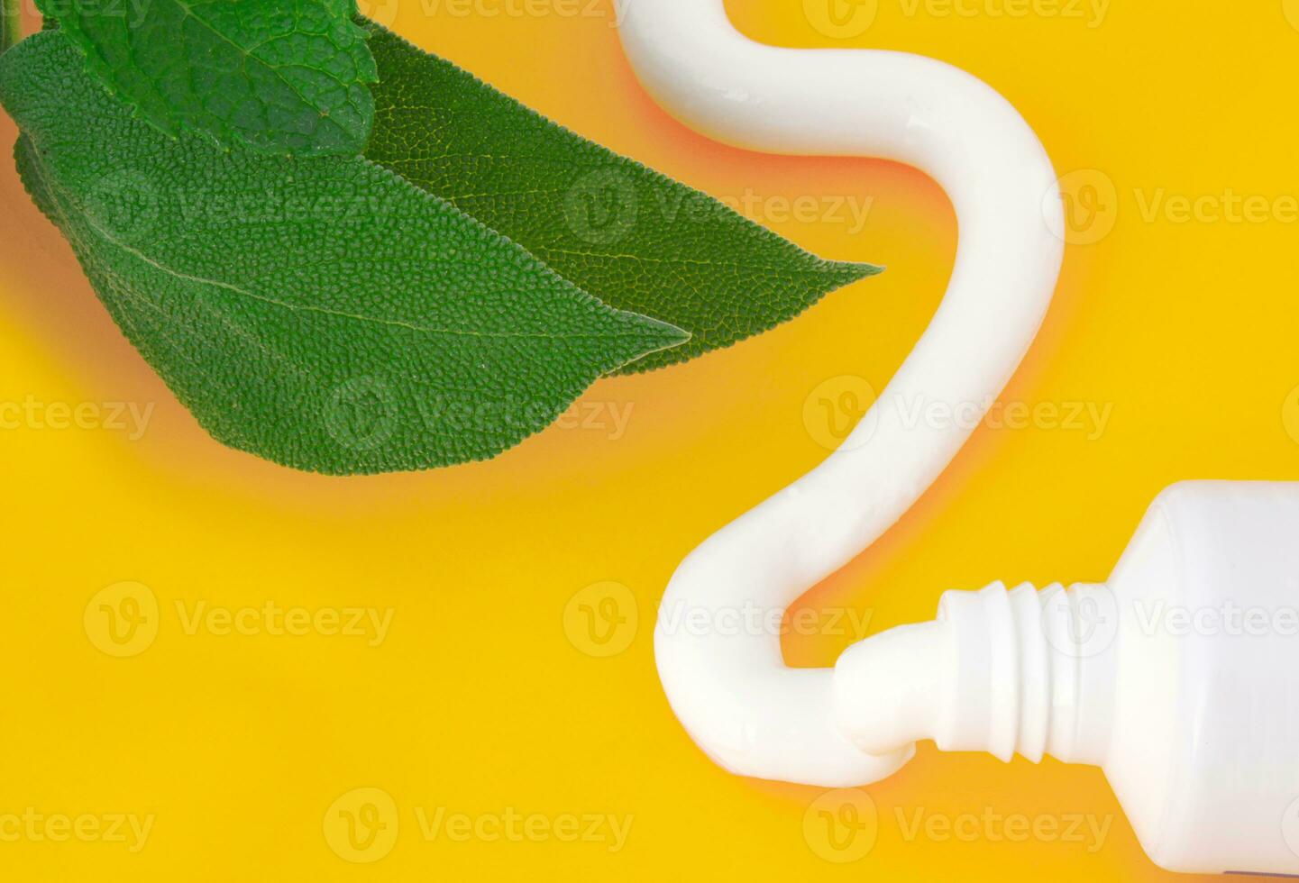 Tube of toothpaste mint flavor 24043850 Stock Photo at Vecteezy