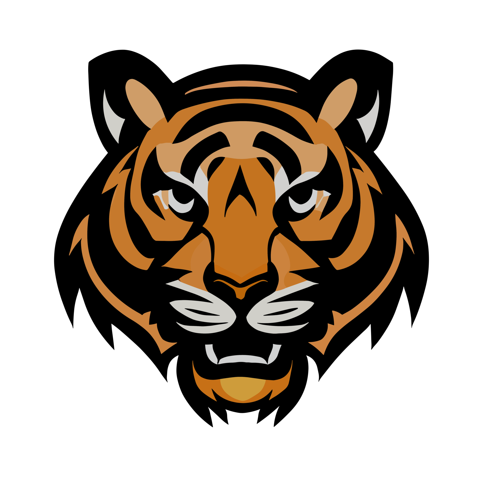 Tiger face icon clipart transparent background 24043911 PNG