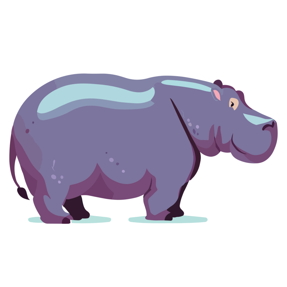 Hippopotamus clipart transparent background png