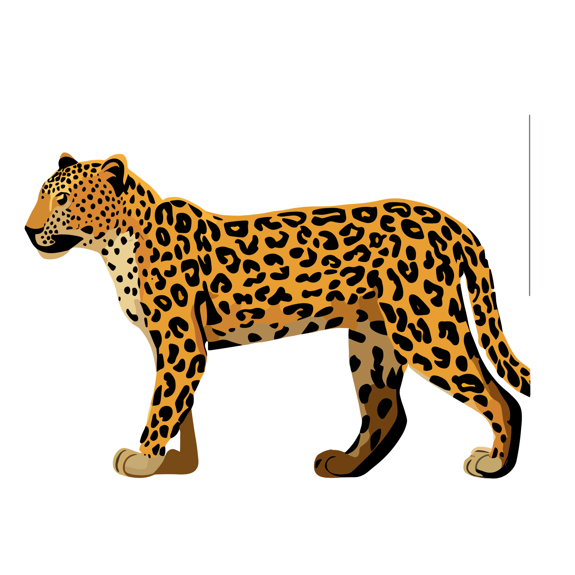 Leopard clipart transparent background 24043951 PNG