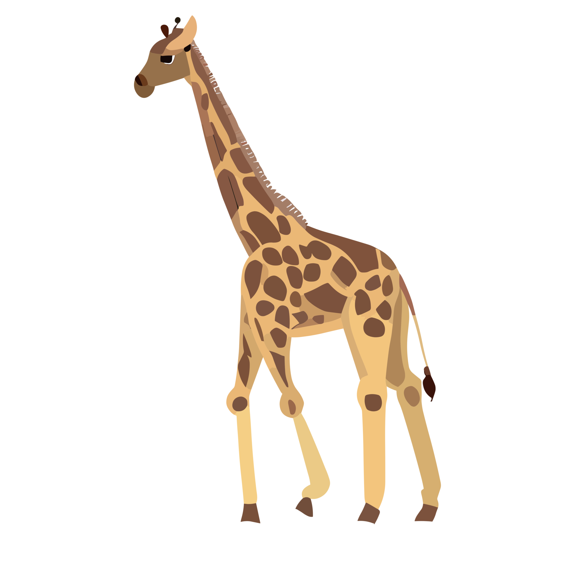 Giraffe icon clipart transparent background 24043973 PNG