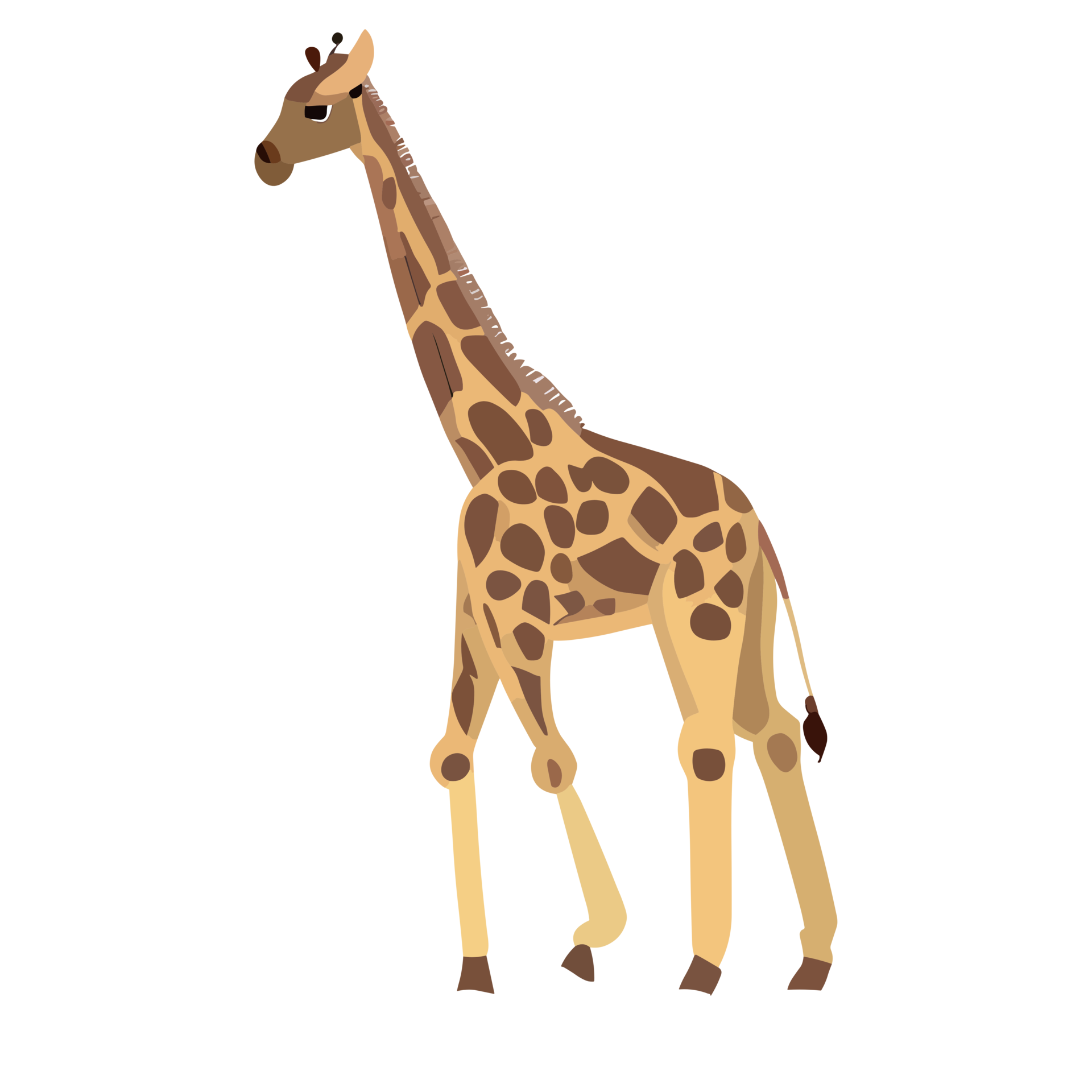 girafa ícone clipart transparente fundo 24043973 PNG