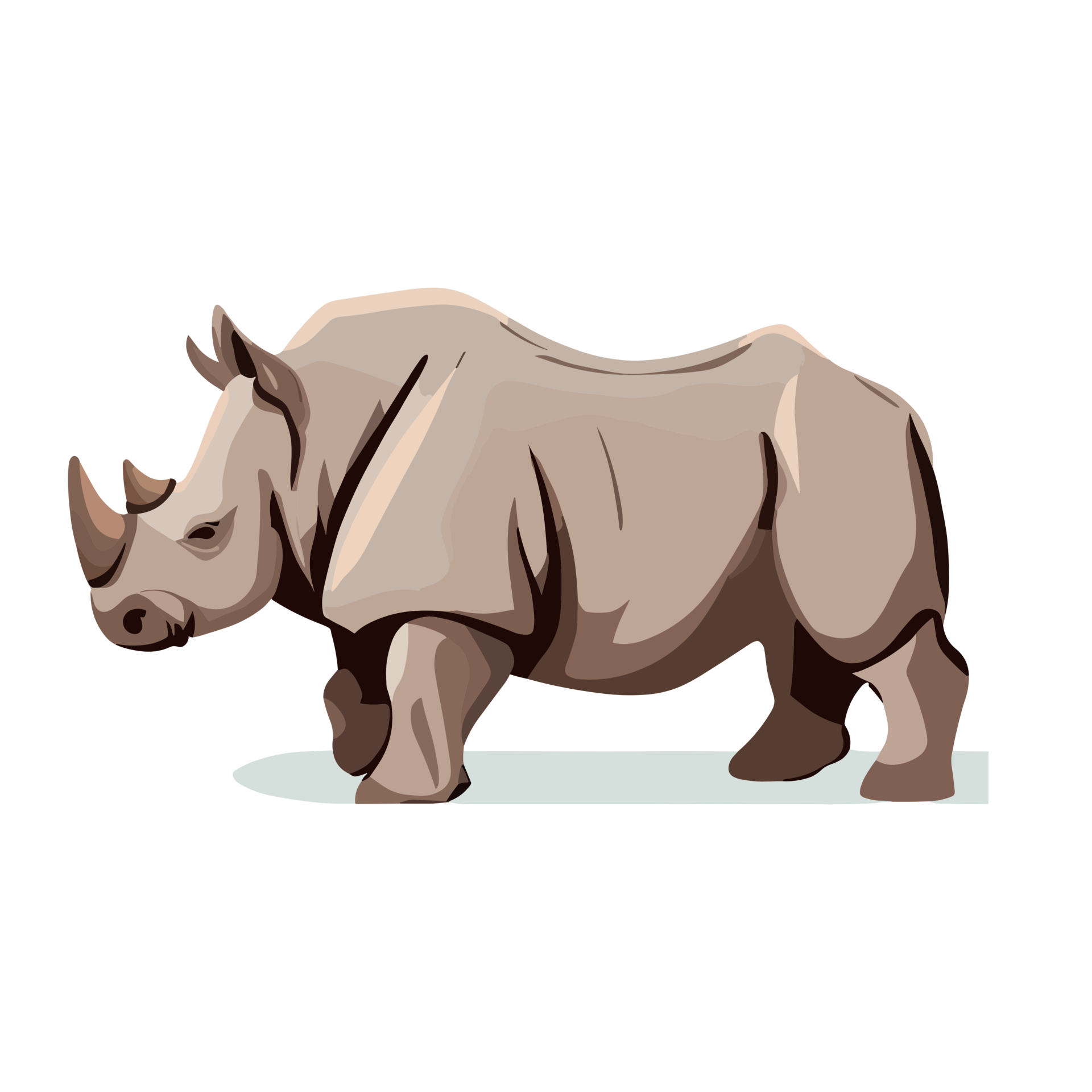 Rhinoceros clipart transparent background 24044172 PNG