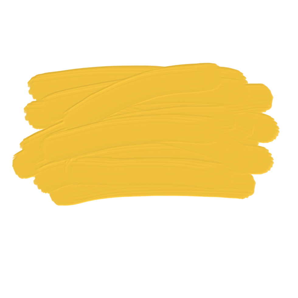 frame,text frame,oil paint,color,oil texture,texture png