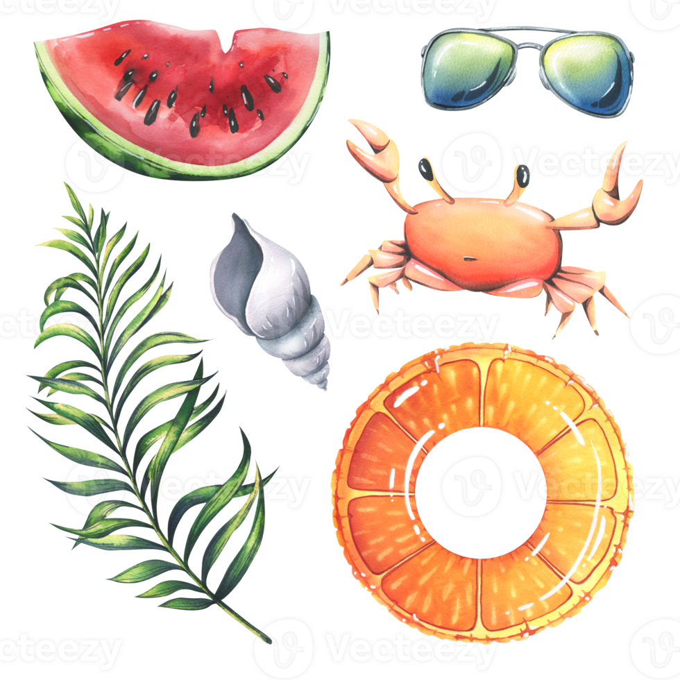 Beach set with orange print inflatable ring, crab, palm branch, sunglasses, piece of watermelon and seashell. Watercolor illustration, hand drawn. Isolated objects . png