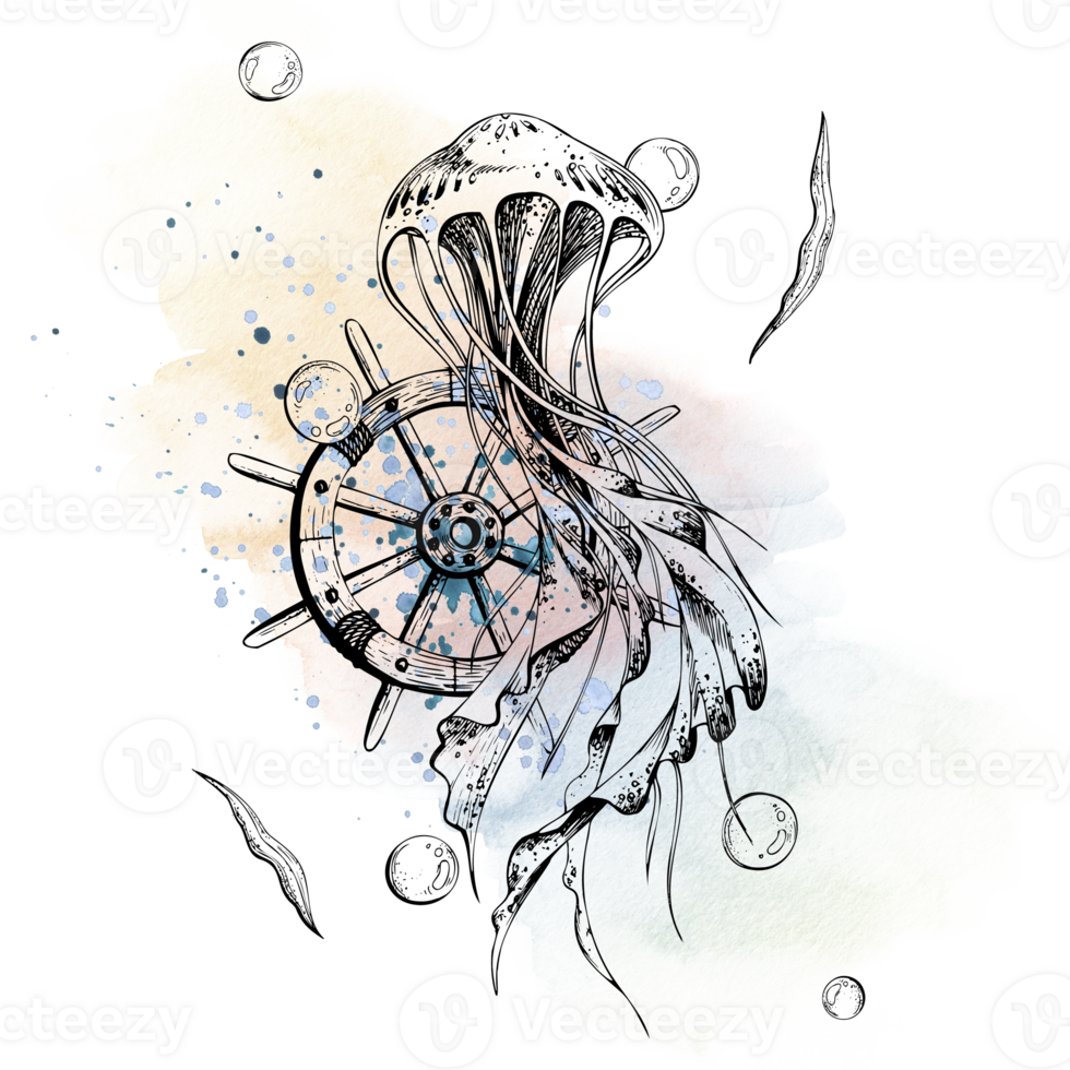 Sea jellyfish with ship's wheel, algae and bubbles. Graphics with watercolor stains and splashes. An illustration drawn by hand. Isolated composition. png