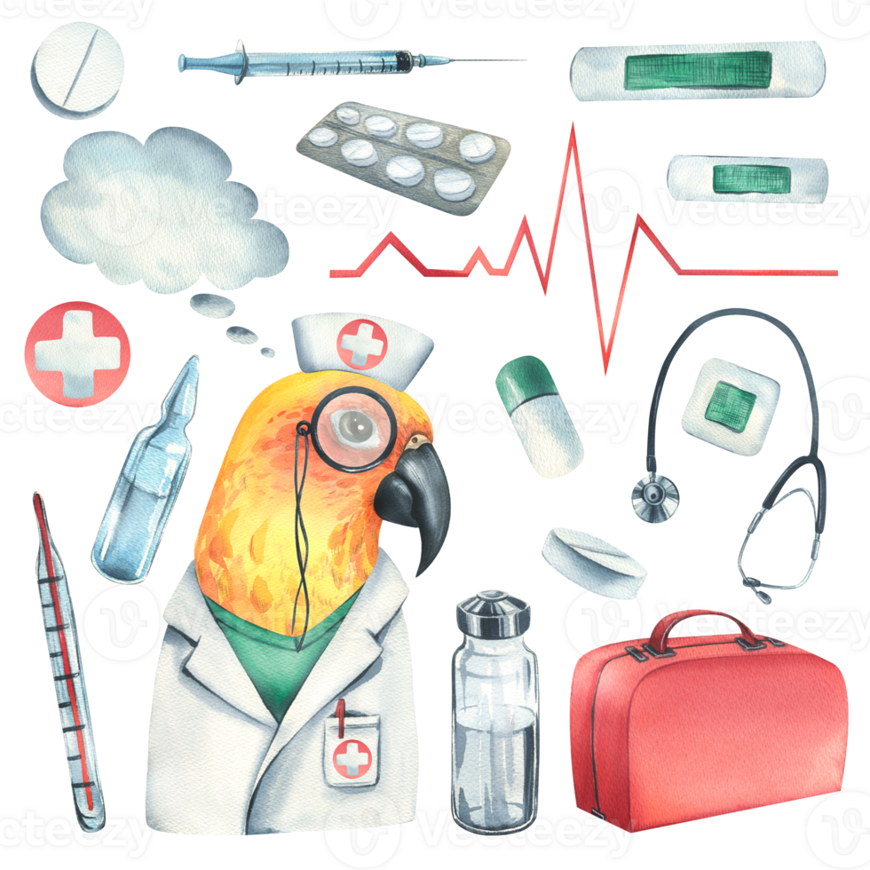 Parrot doctor in a dressing gown, glasses, with a stethoscope, a suitcase and medical instruments, pills, injections. Watercolor illustration, hand drawn. Set isolated png