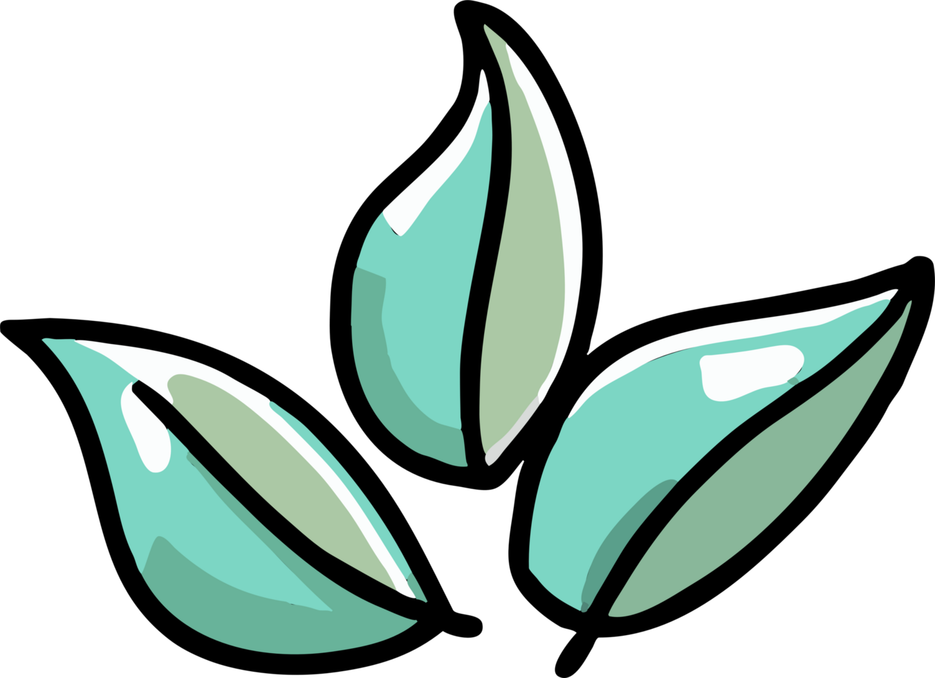 Green tea leaves png graphic clipart design