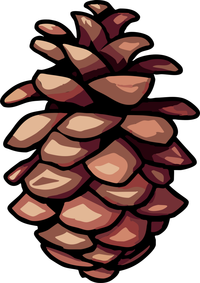 pine cone png graphic clipart design