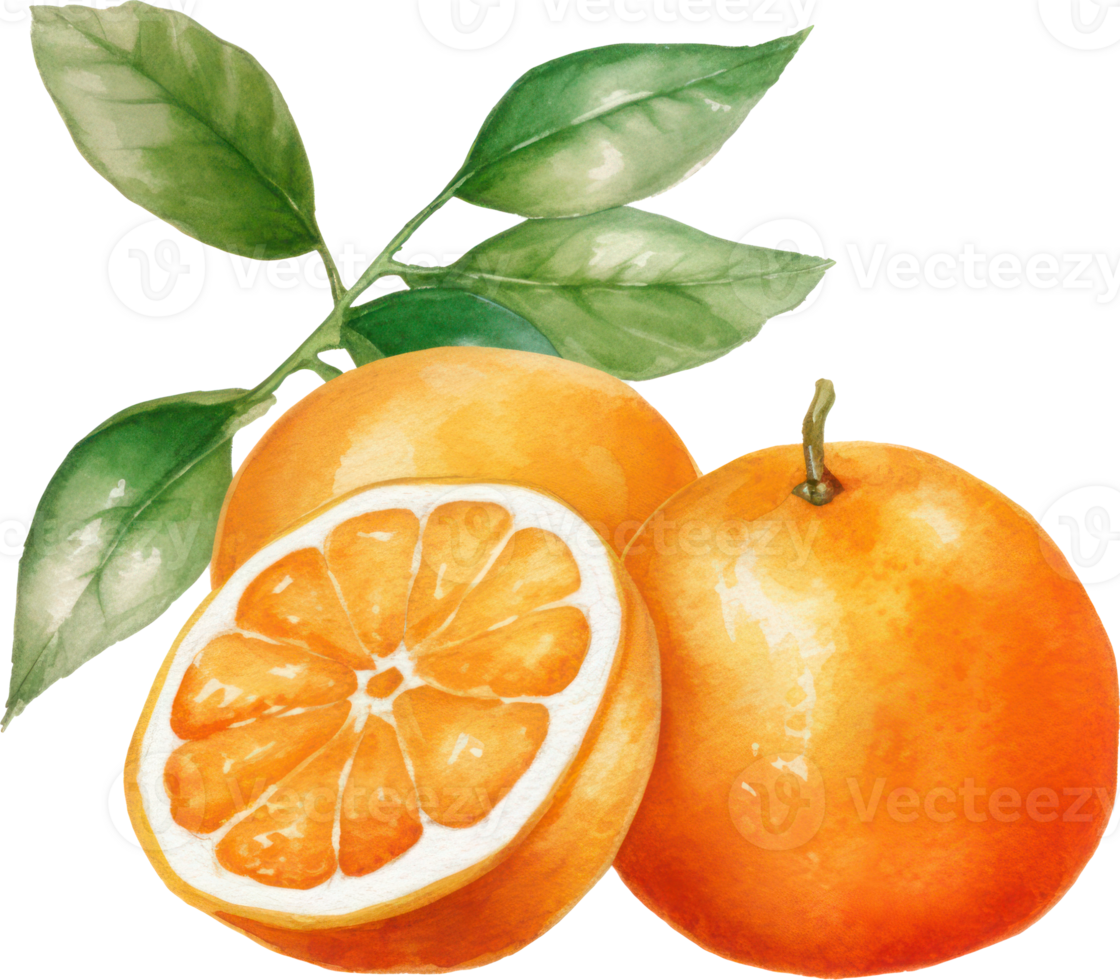 naranja Fruta acuarela ilustración. ai generado png