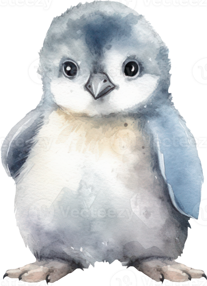 Cute Baby Penguin Watercolor Illustration png