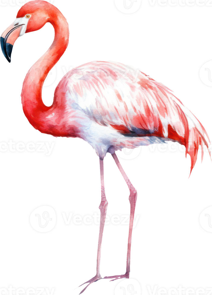 flamingo pássaro aguarela ilustração. ai gerado png