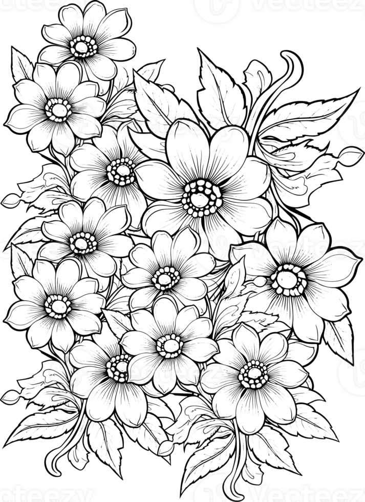 Flower Kids and Adult Coloring page spring and summer doodle elements. Mandala pattern with floral elements on white background design for flower mandala coloring book png