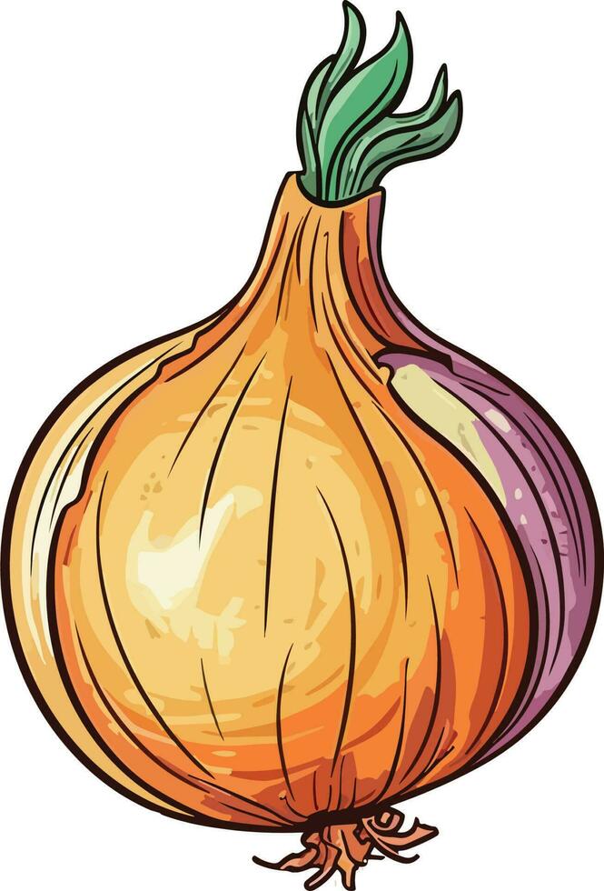 Add a layer of Intrigue to your designs with our unique onion graphics. vector